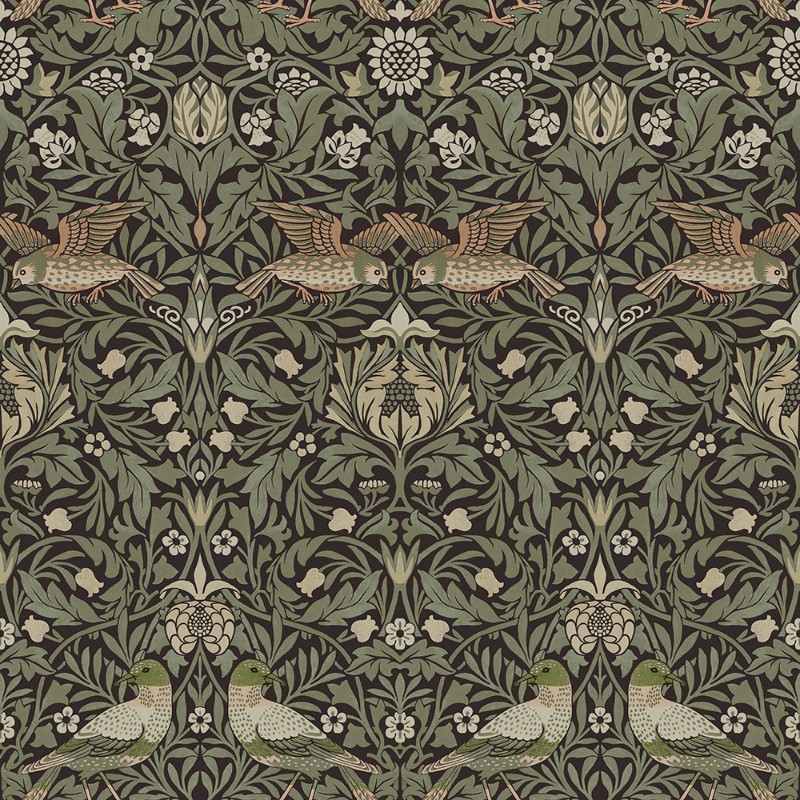 Bird - 82064 wallpaper Midbec