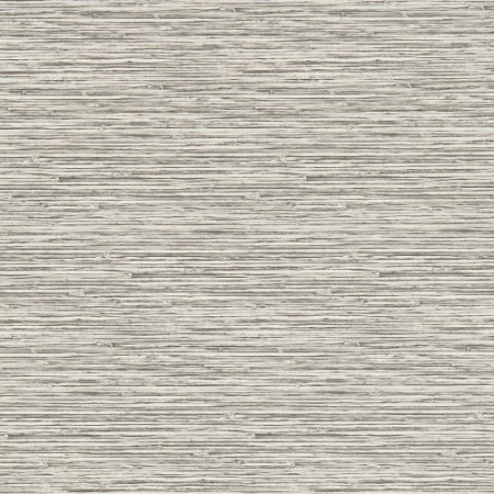 Xan Dove - W0192/02 wallpaper Clarke & Clarke