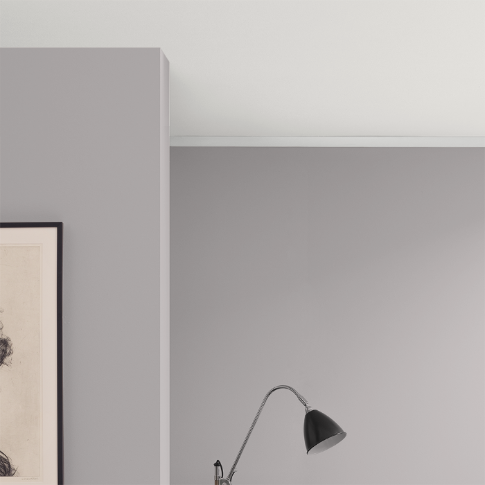 Picture for category Ceiling paint