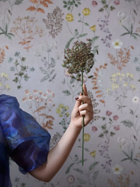 Botanica - 9408W wallpaper Boråstapeter