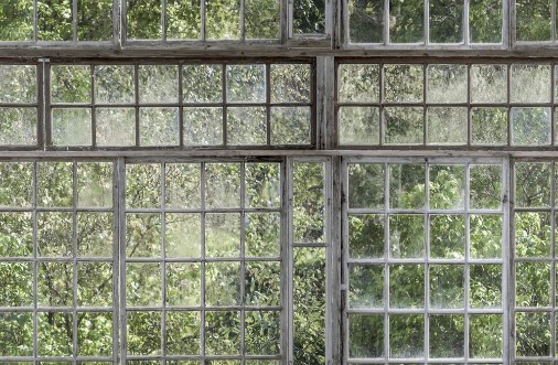 Greenhouse - 9424W wallpaper Boråstapeter