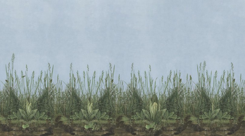 Morning Mist - 9473W wallpaper Boråstapeter