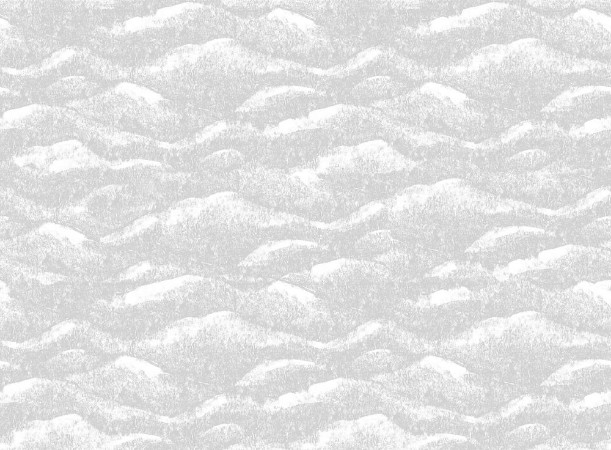 Dream Dunes - 9520W wallpaper Boråstapeter