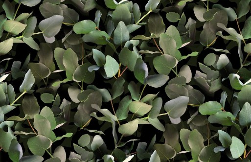 Eucalyptus - 9523W wallpaper Boråstapeter