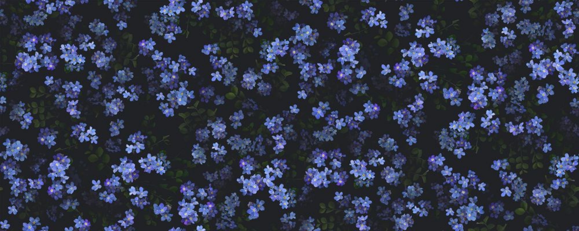 Forget Me Not - 9526W wallpaper Boråstapeter