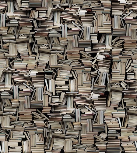 Light Books - 9533W wallpaper Boråstapeter