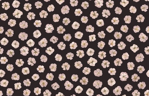 Sweet White - 9545W wallpaper Boråstapeter