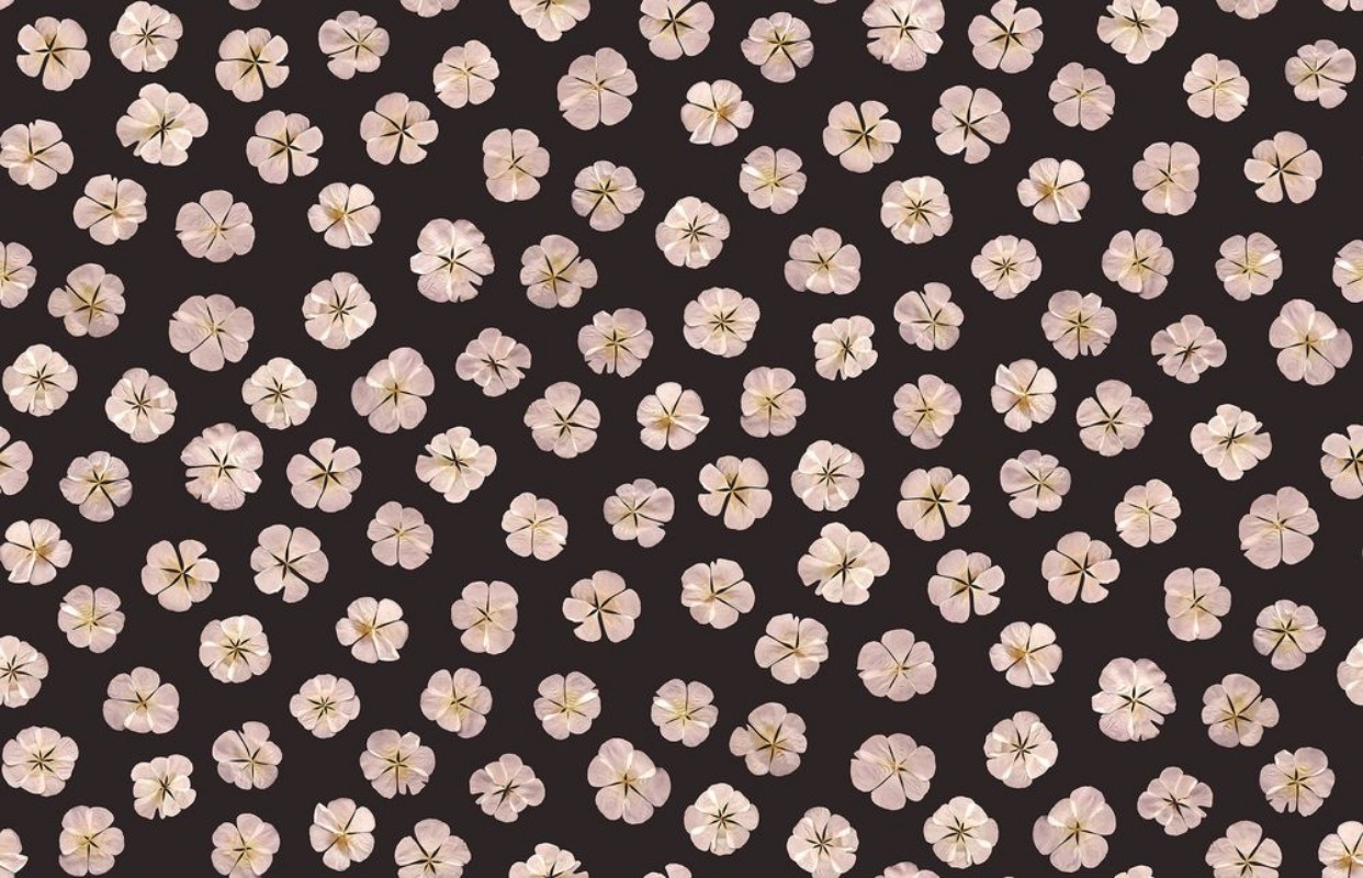 Sweet White - 9545W wallpaper Boråstapeter