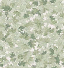 Tree Canopy - 9555W wallpaper Boråstapeter