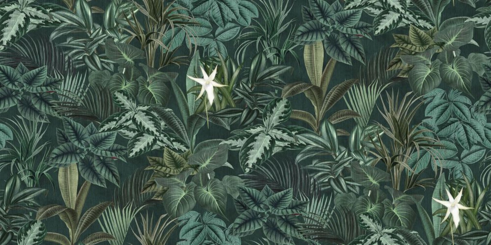 Madagascar Leaves  - 9571W wallpaper Boråstapeter