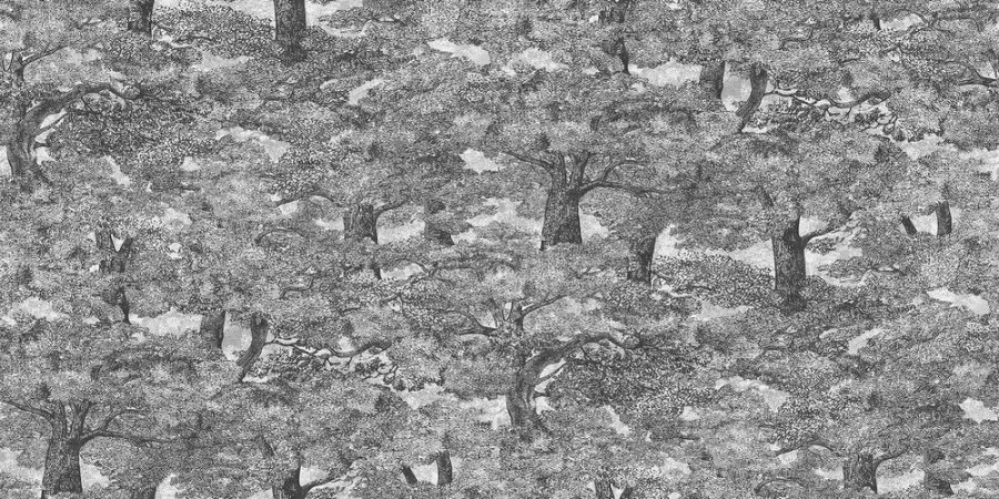 Samburu Tree  - 9573W wallpaper Boråstapeter