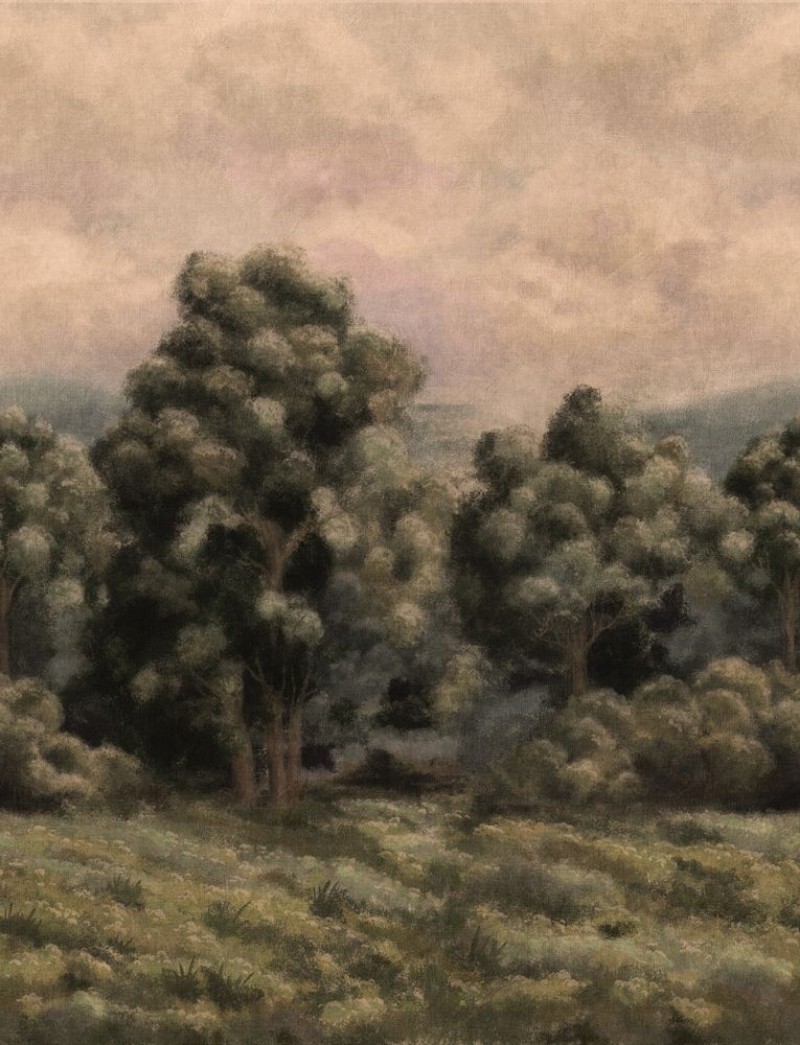 Misty Forest - 9594W wallpaper Boråstapeter