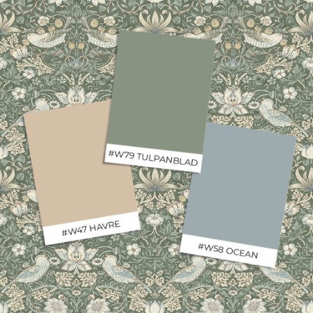 Coloring Strawberry Thief - Evergreen - 217545 - 04740-01 paint William Morris